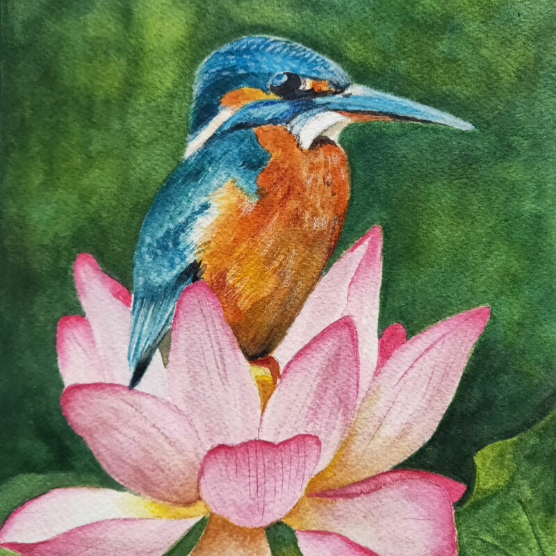 Mr kingfisher