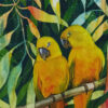 Yellow Parrots