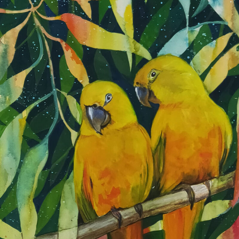Yellow Parrots