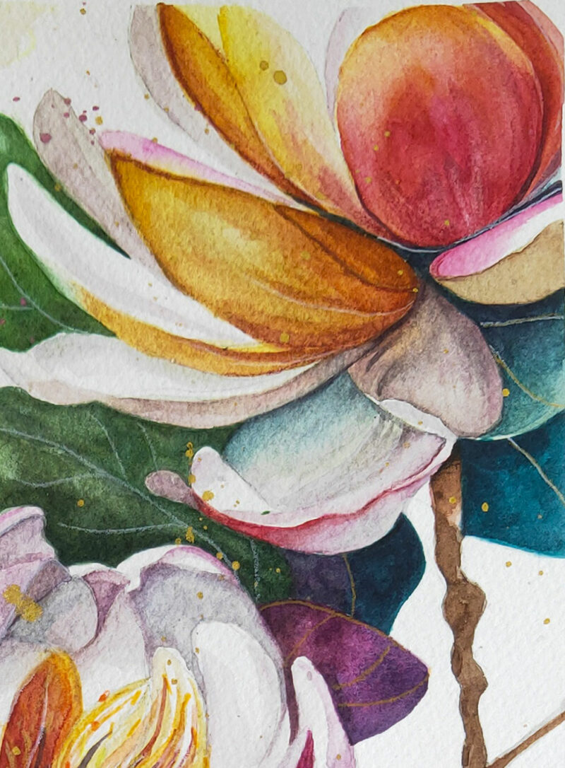 Magic Magnolias watercolour