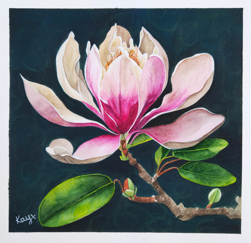 pink magnolia