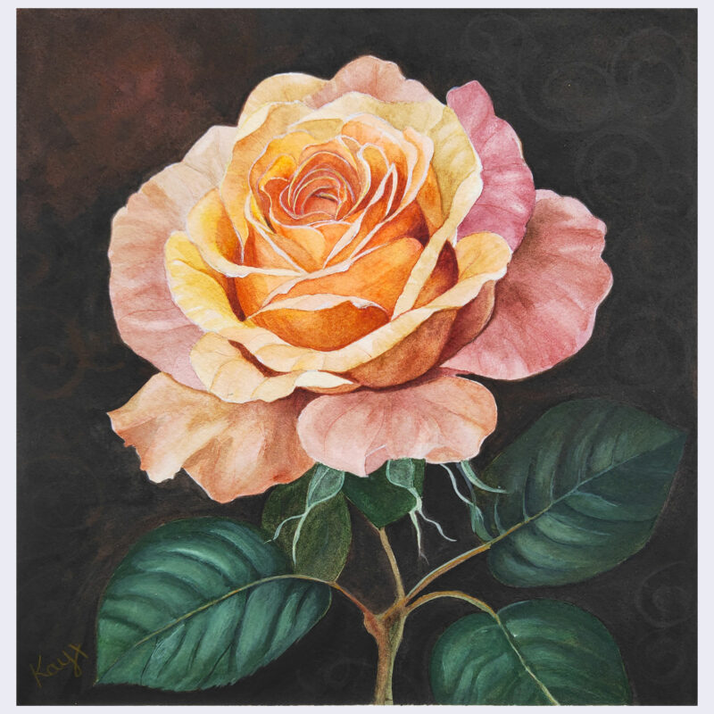 Peach Rose watercolour painting