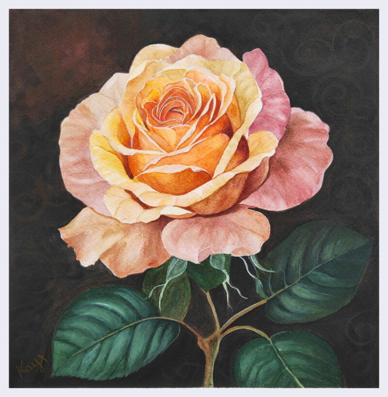 Peach Rose watercolour painting