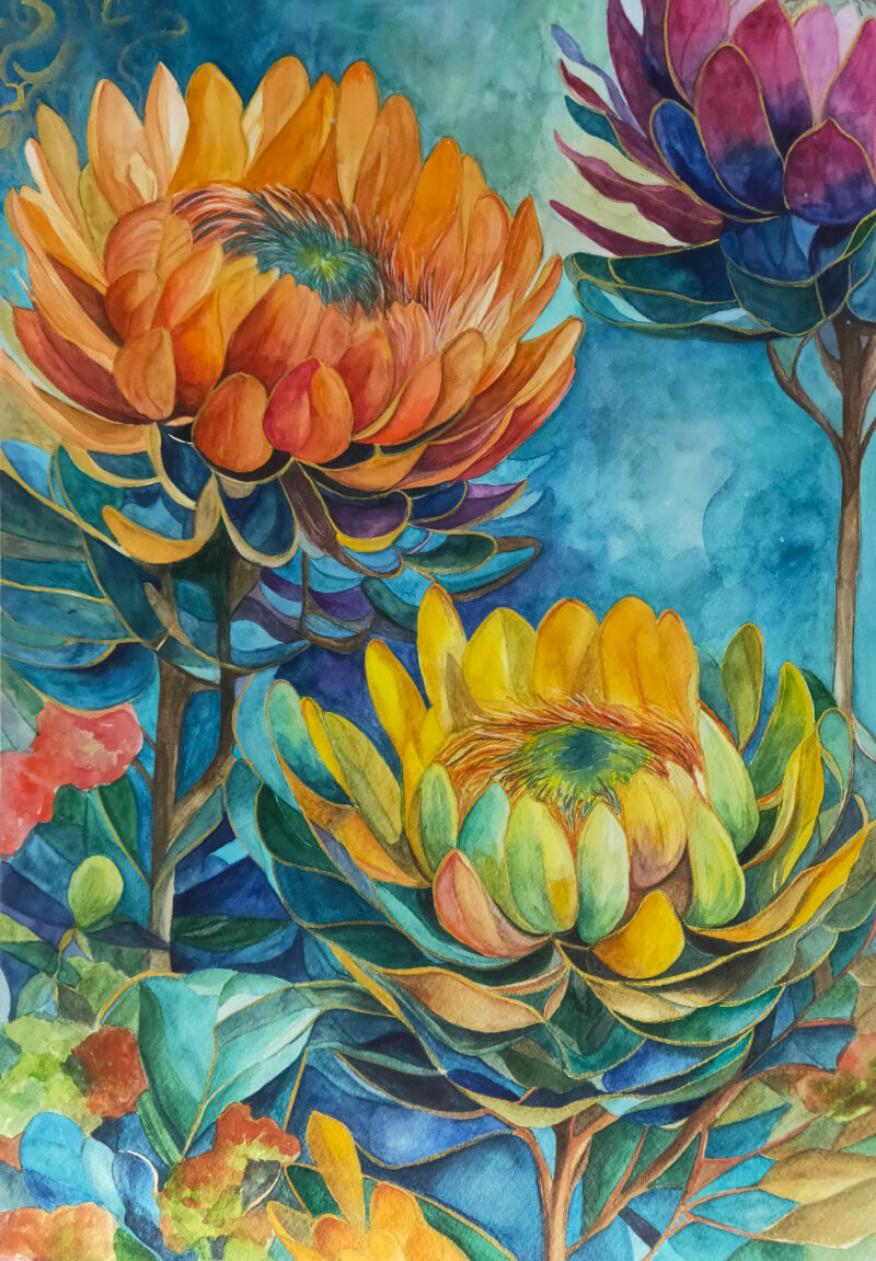 colourful protea